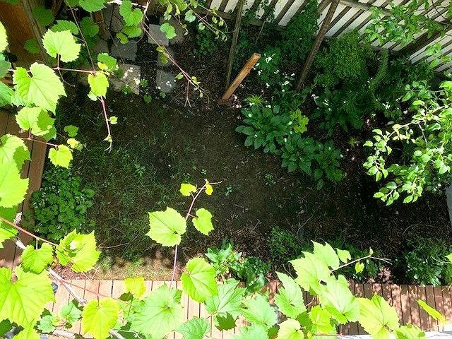 4514-4516 Rue St-Hubert H2J2X3 miniature 53