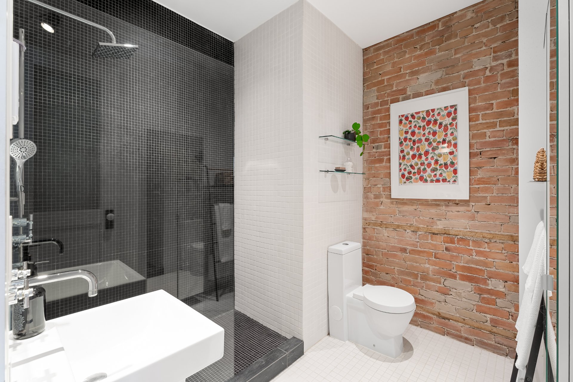 4567 Av. Christophe-Colomb H2J3G7 miniature 19