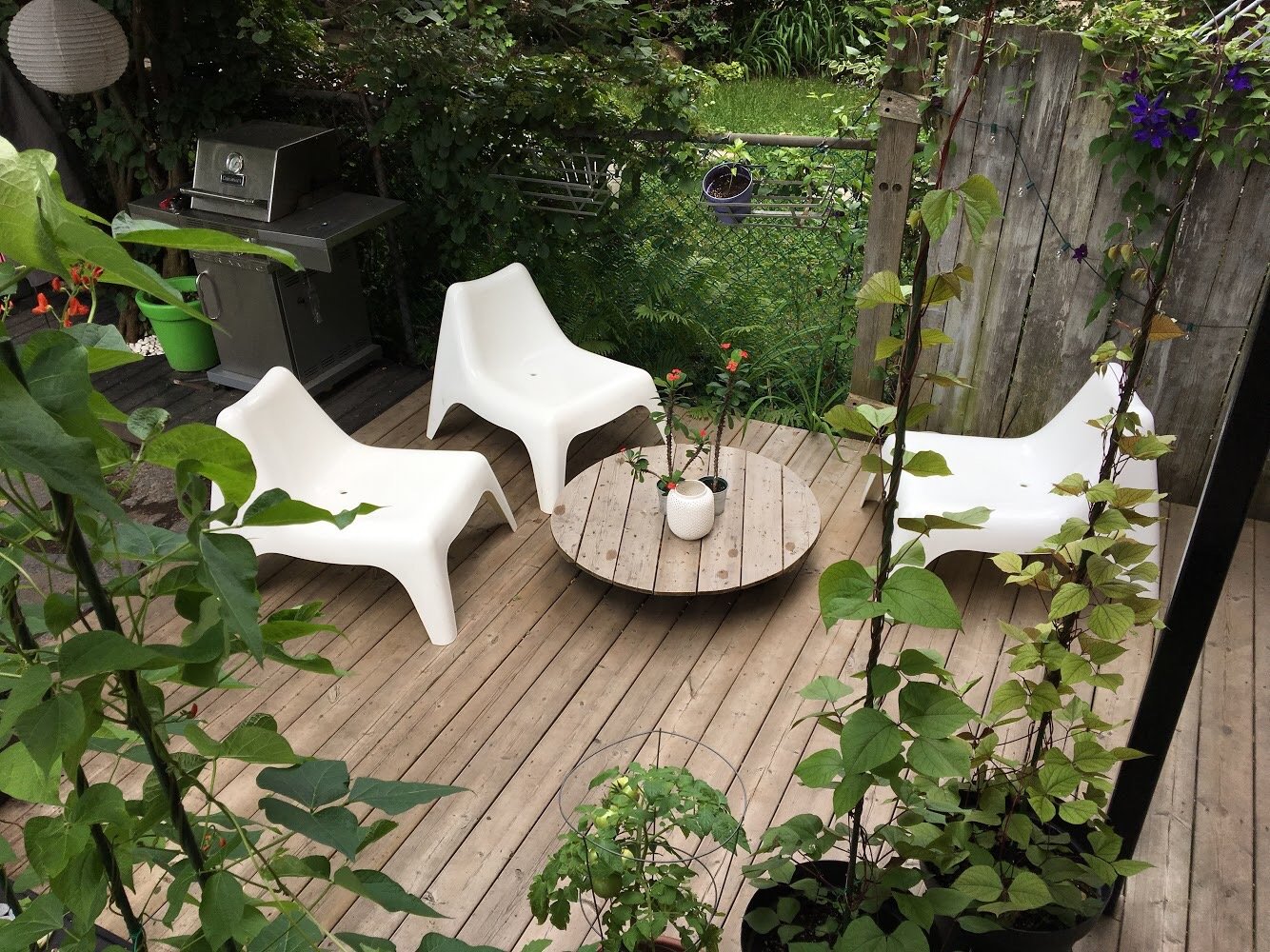 4567 Av. Christophe-Colomb H2J3G7 miniature 43