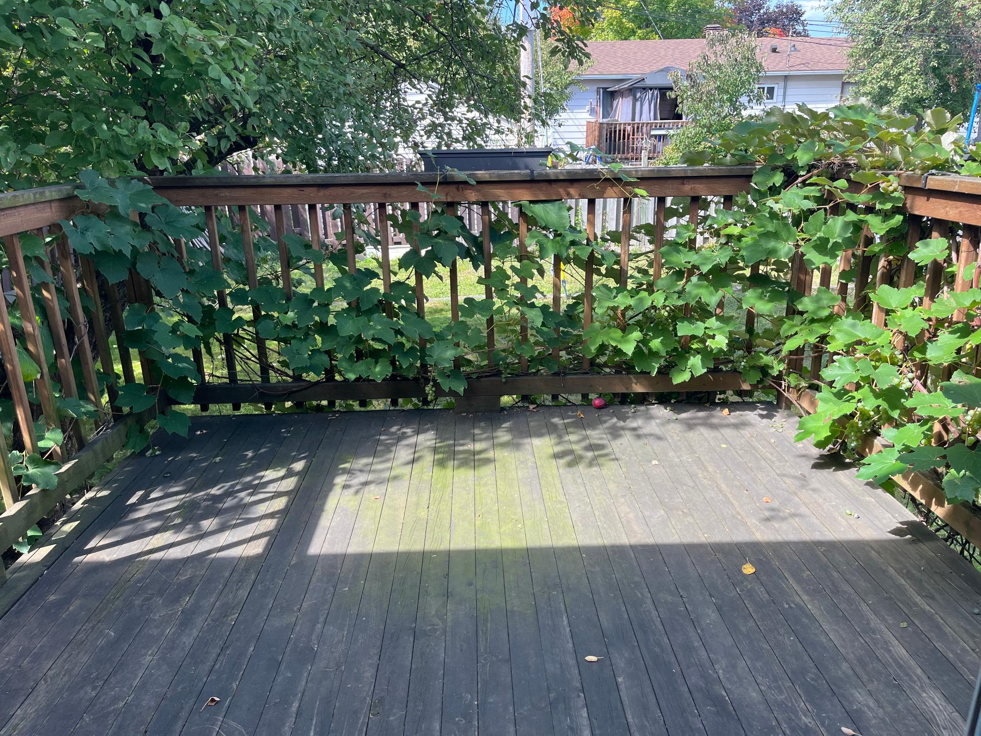 802 Rue Maisonneuve, Longueuil (Saint-Hubert), Quebec J3Y7W8, 3 Chambres Chambres, 8 Chambres Chambres,1 Salle de bainsSalle de bain,Résidentiel,À vendre,Rue Maisonneuve,27461595