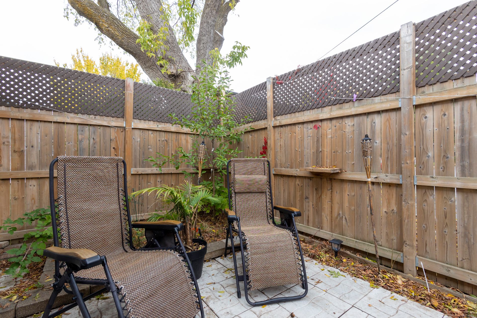 12055 Av. Éthier, Montréal (Montréal-Nord), Quebec H1H3H8, 2 Chambres Chambres, 11 Chambres Chambres,2 Salle de bainSalle de bain,Résidentiel,À vendre,Av. Éthier,27301037