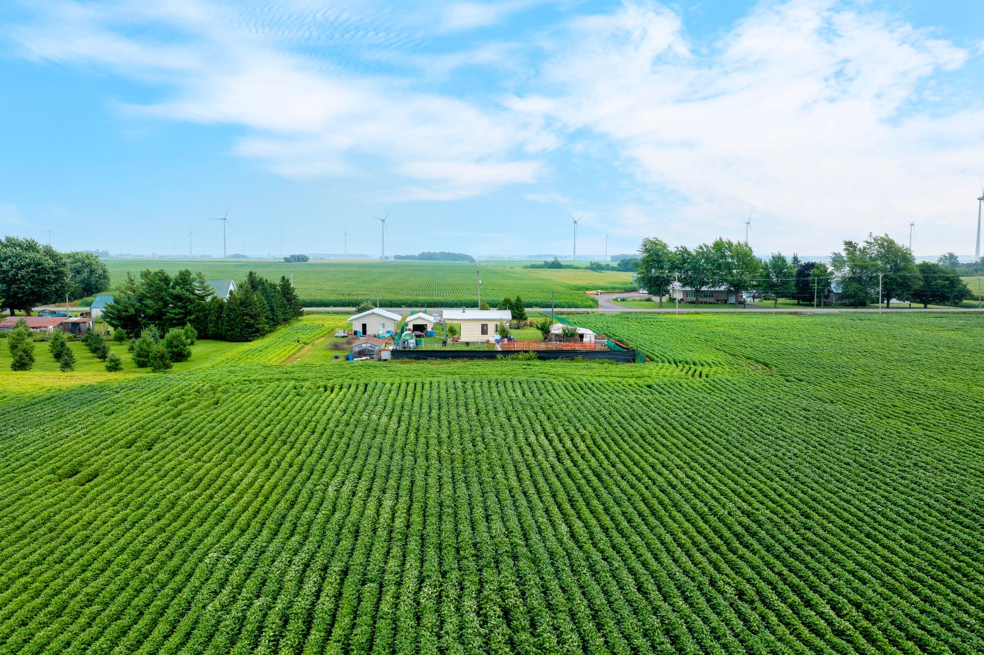 Boul. Ste-Marguerite, Mercier, Quebec J6R2L1, ,Land / Lot,For Sale,Boul. Ste-Marguerite,24361475