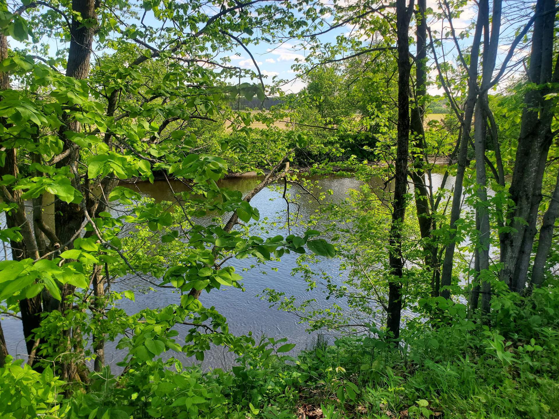 Ch. de la Rivière-du-Nord, Saint-Colomban, Quebec J5K2E6, ,Land / Lot,For Sale,Ch. de la Rivière-du-Nord,25896185