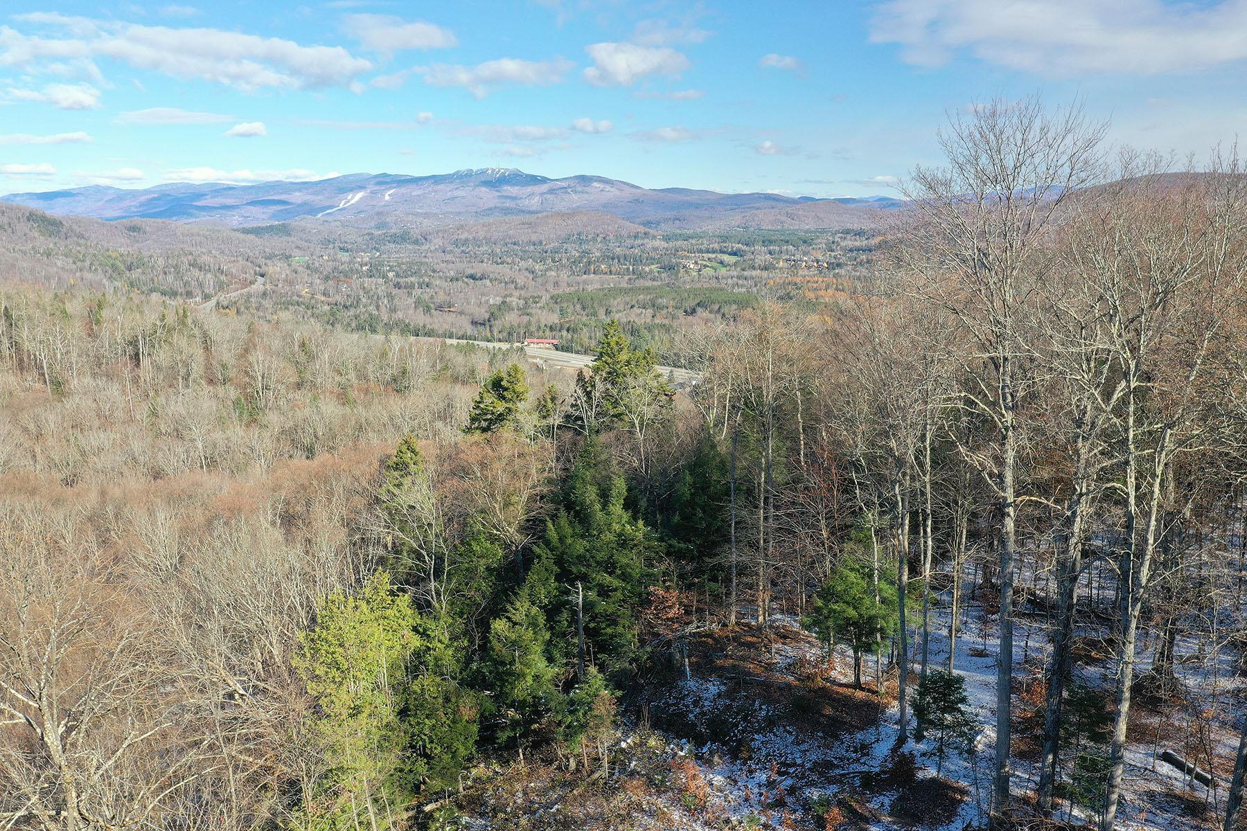 Ch. du Grand-Pic, Mont-Tremblant, Quebec J8E0J8, ,Land / Lot,For Sale,Ch. du Grand-Pic,13208124