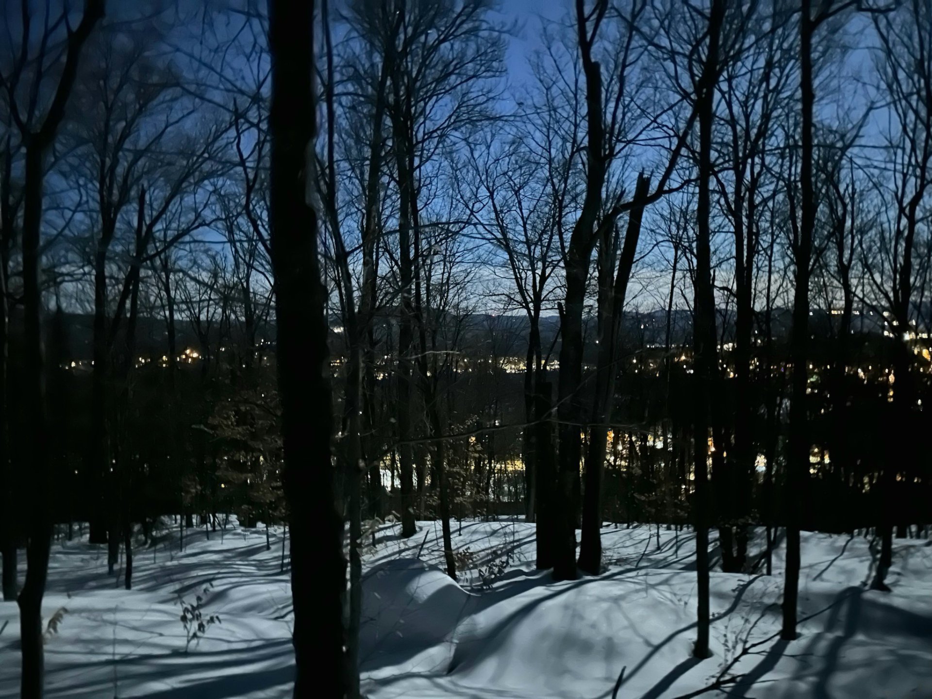 Ch. du Grand-Pic, Mont-Tremblant, Quebec J8E0J8, ,Land / Lot,For Sale,Ch. du Grand-Pic,13208124