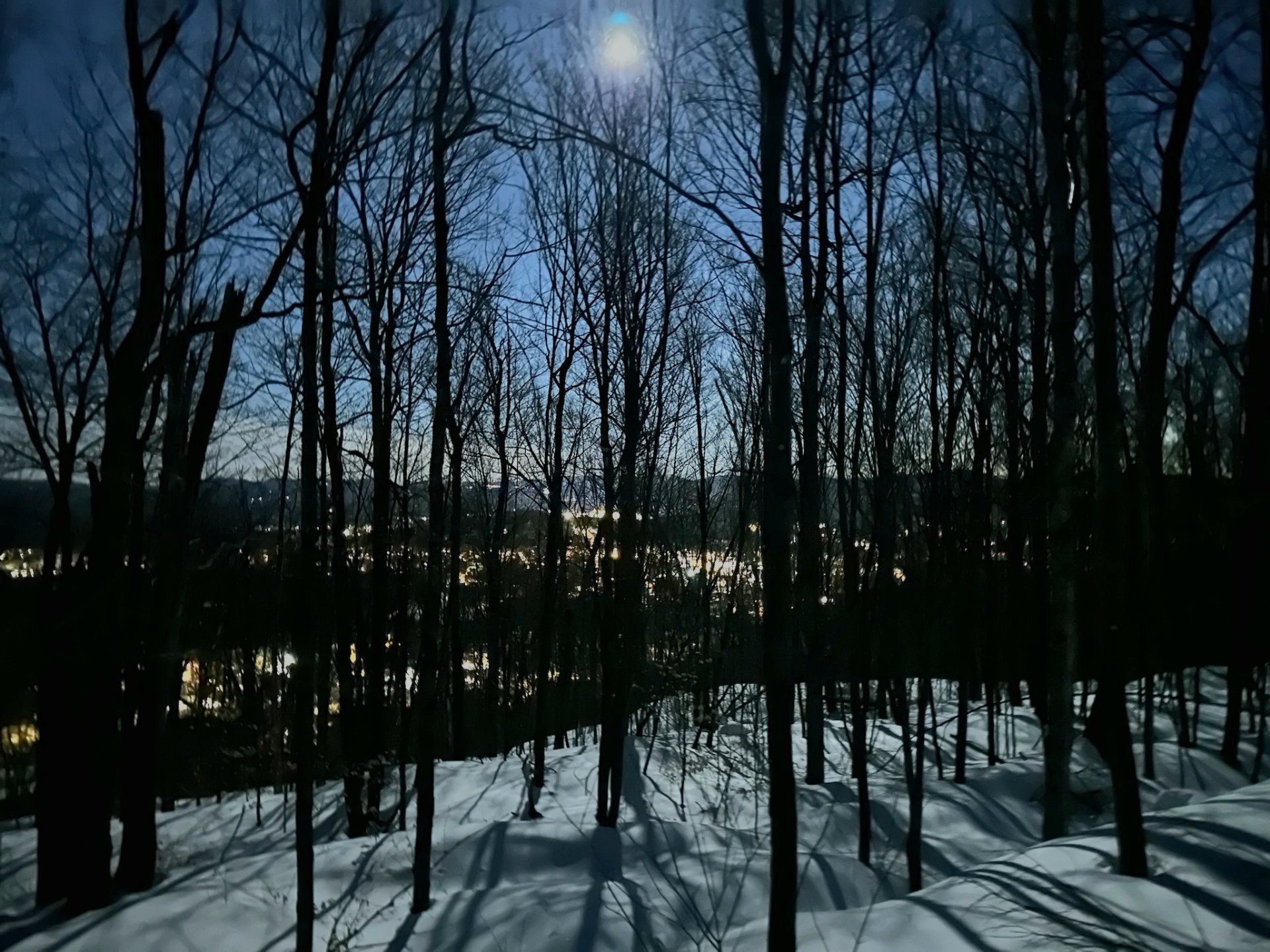 Ch. du Grand-Pic, Mont-Tremblant, Quebec J8E0J8, ,Land / Lot,For Sale,Ch. du Grand-Pic,13208124