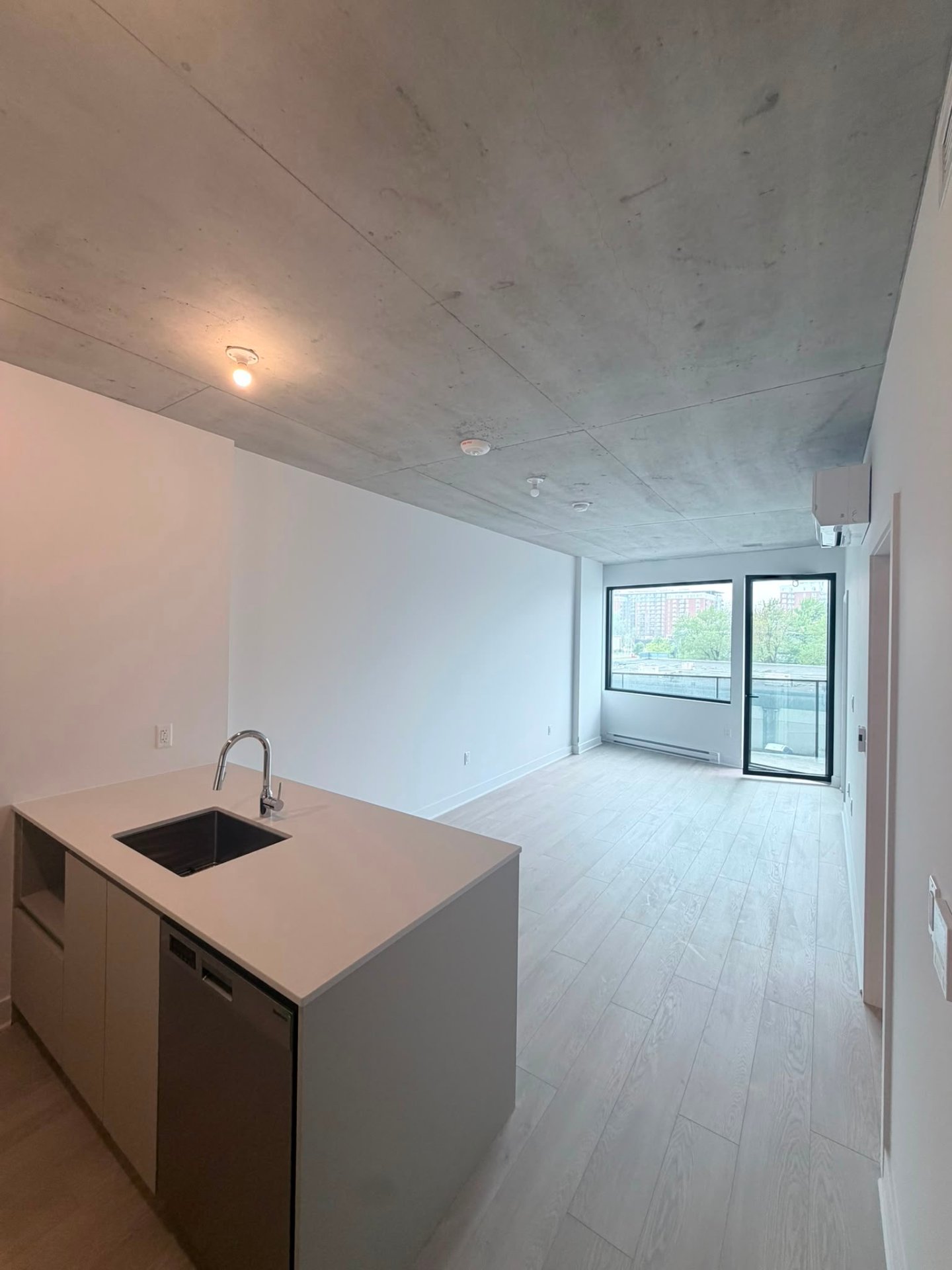 Apartment
                                                            
                                                            for rent Montréal (Rosemont/La Petite-Patrie)