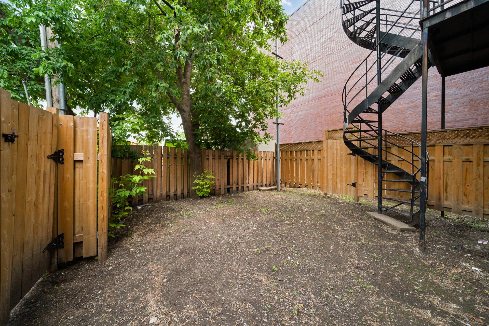 Backyard