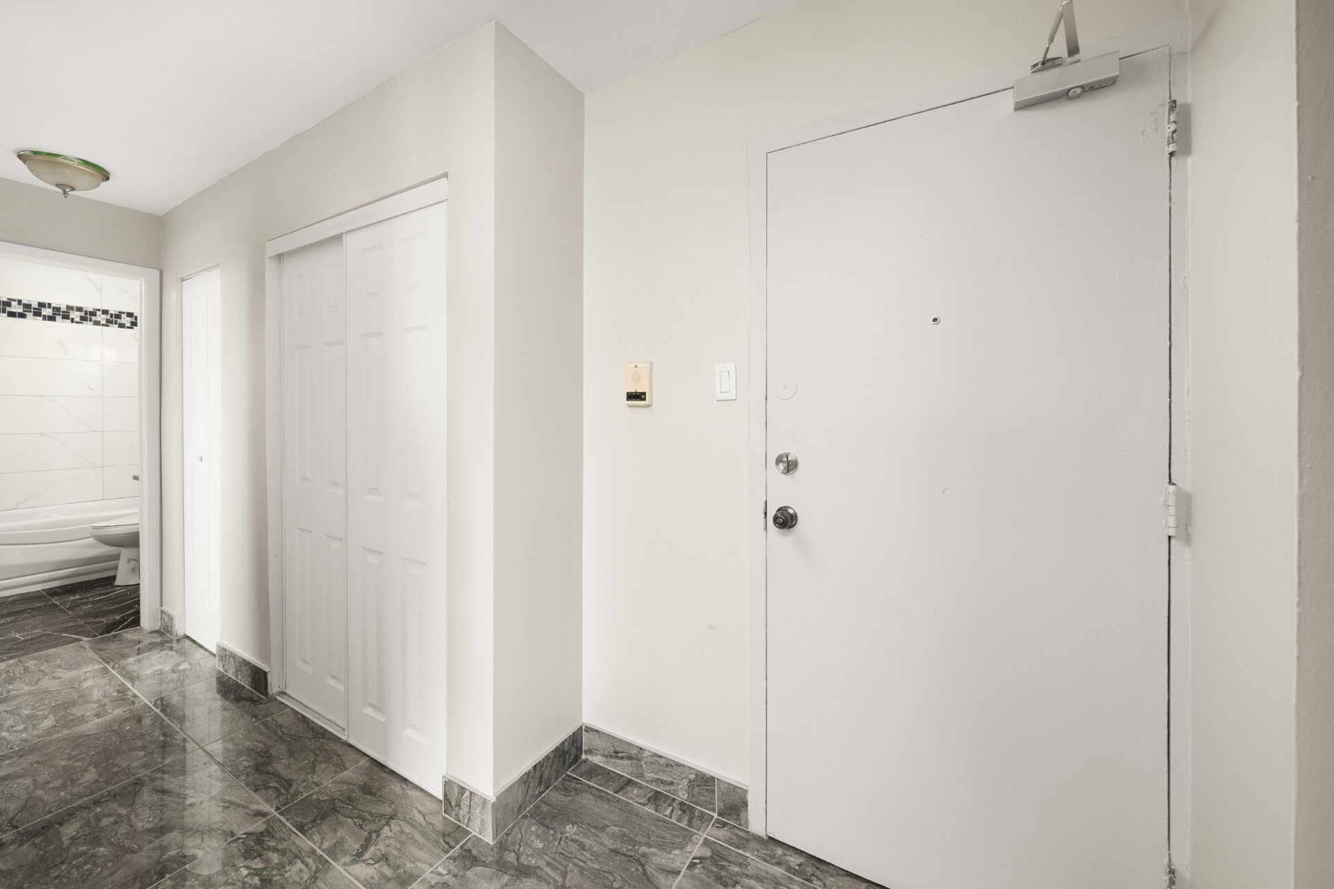Hall d'entrée/Vestibule
