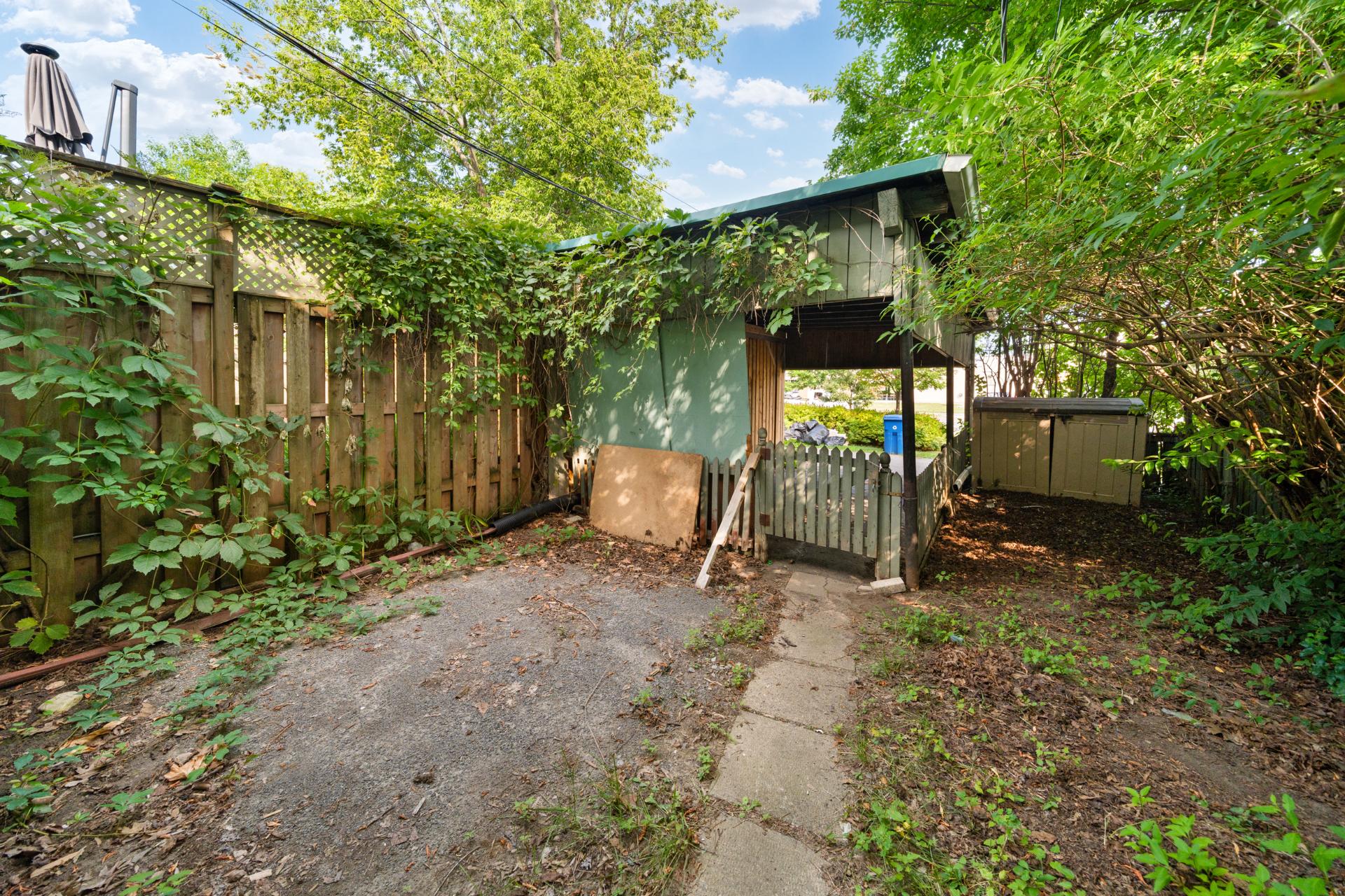 Backyard
