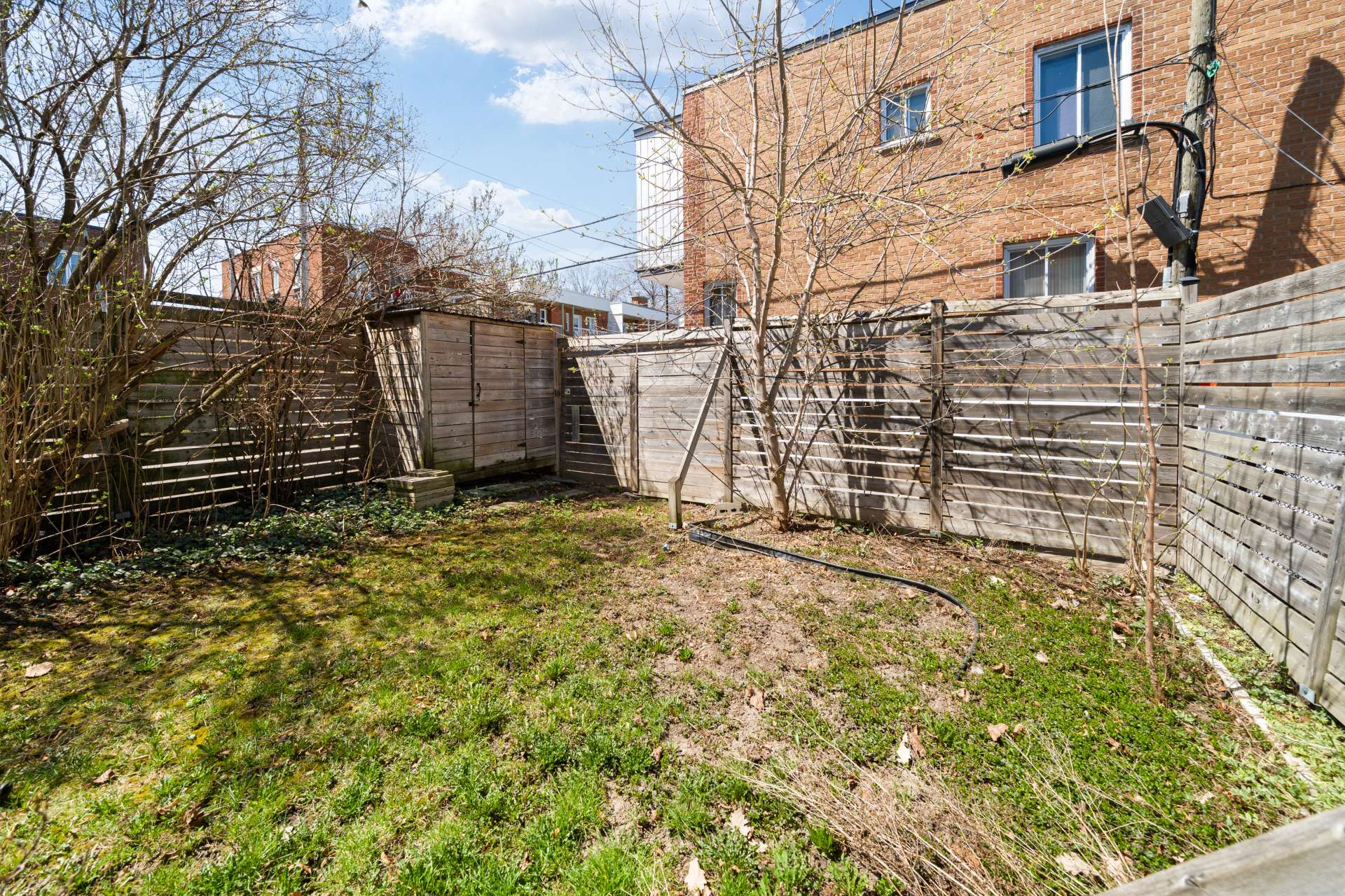Backyard